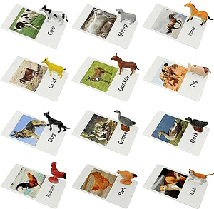 مجموعة العاب حيوانات المزرعة مع بطاقات فلاش