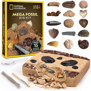 مجموعة الحفريات ميجا فوسيل من ناشيونال جيوجرافيك