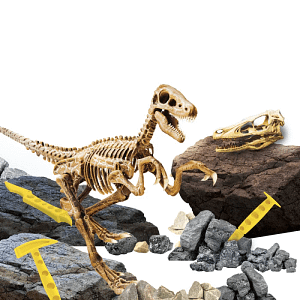 لعبة التنقيب عن هيكل الديناصور