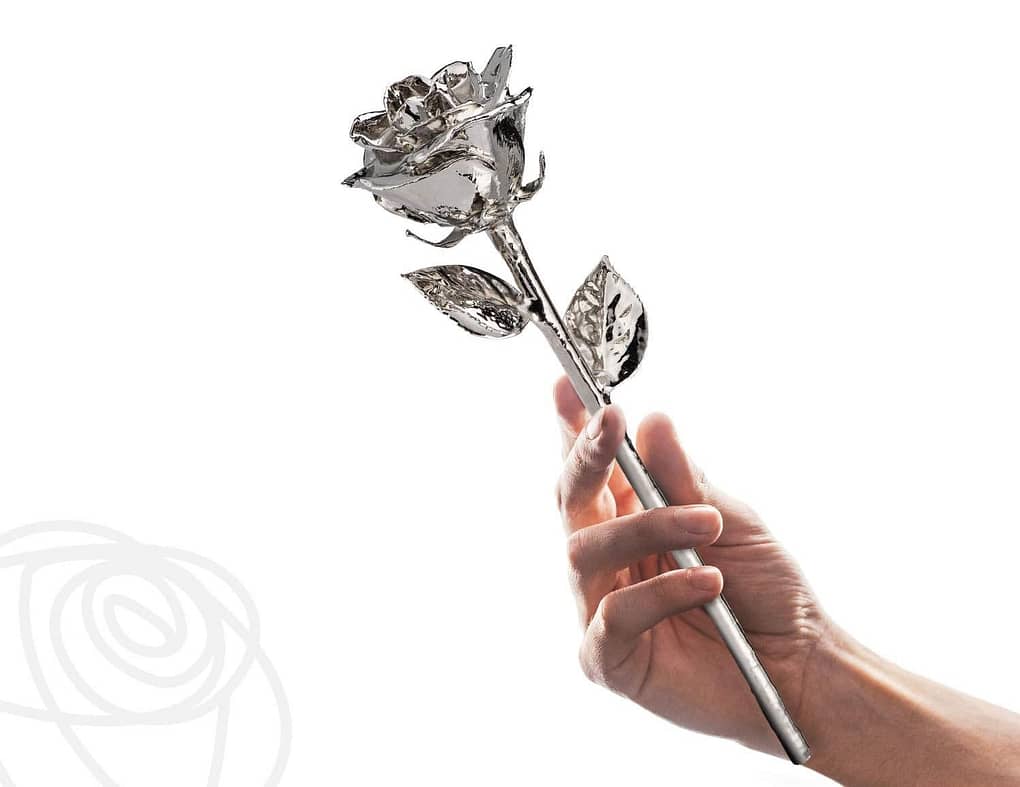 هدايا رومانسية للزوجة - فوريفر روز وردة بلاتينيوم حقيقية